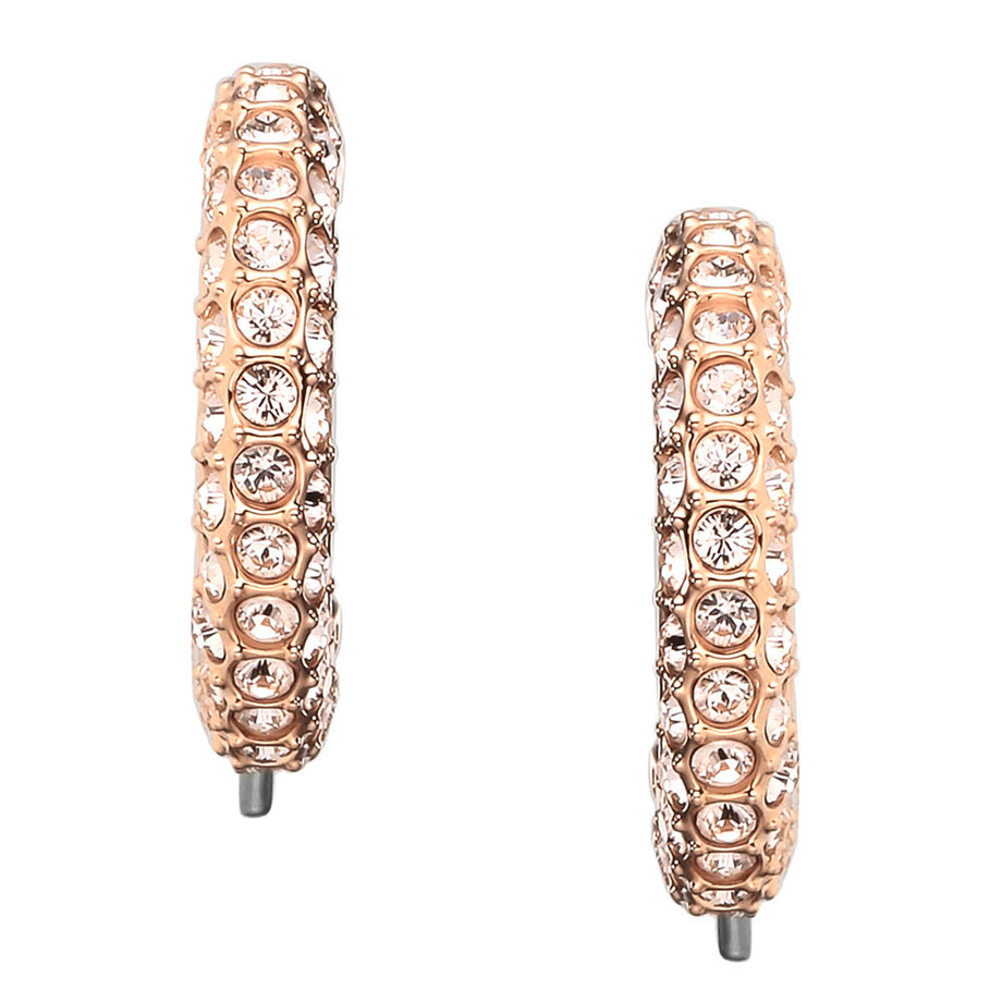 Swarovski SWAROVSKI pierced earrings accessories 5446008 stone STONE r